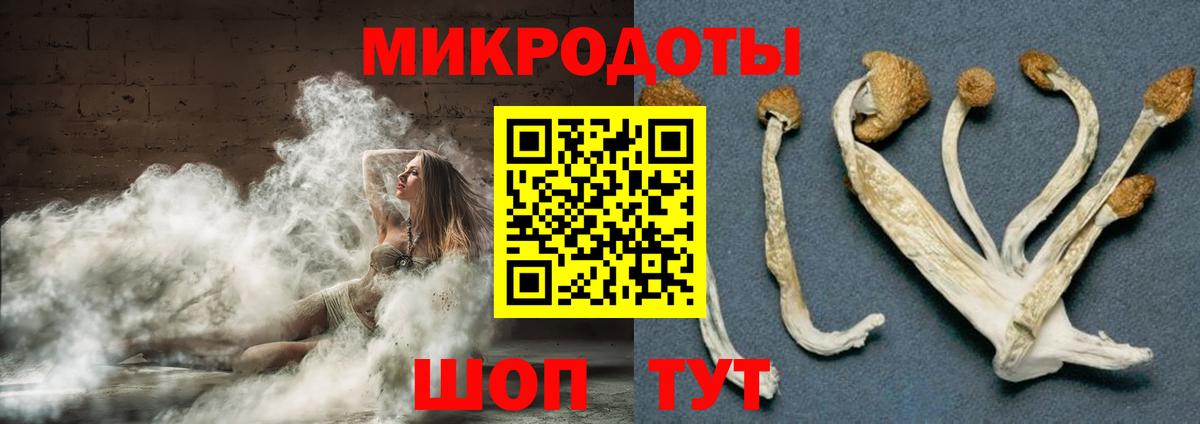 Псилоцибиновые грибы ЛСД  Вход с VPN  где купить   Владикавказ 