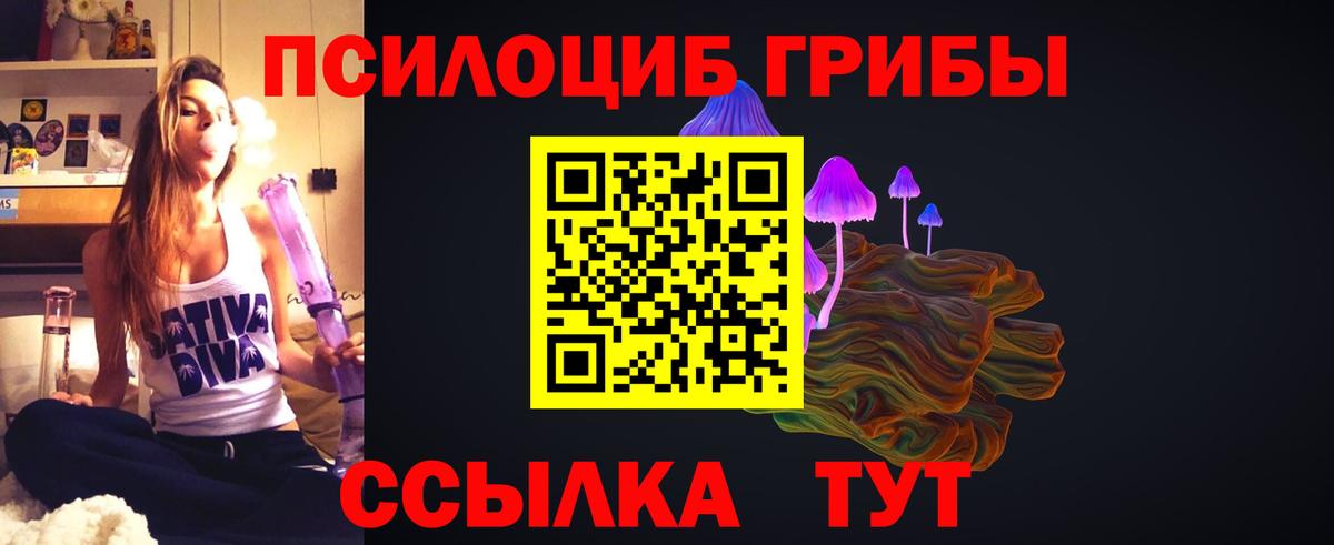 Галлюциногенные грибы Cubensis Владикавказ